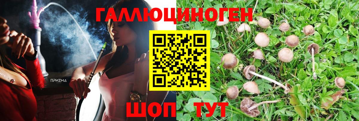 Семёнов  Псилоцибиновые грибы Cubensis  Галлюциногенные грибы мухоморы  Вход с VPN 