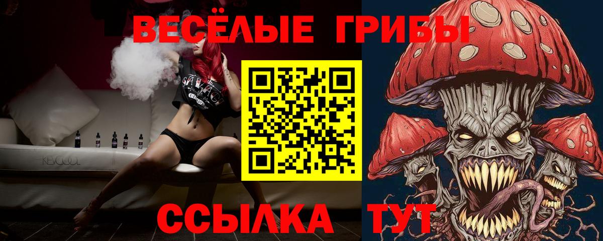 Галлюциногенные грибы Psilocybine cubensis Семёнов